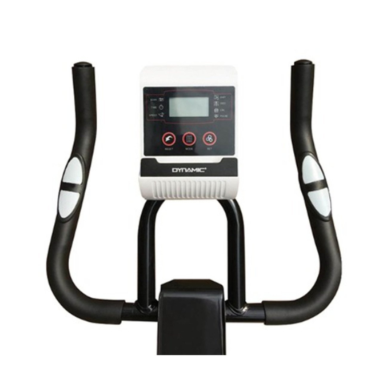 Dynamic Spin Bike