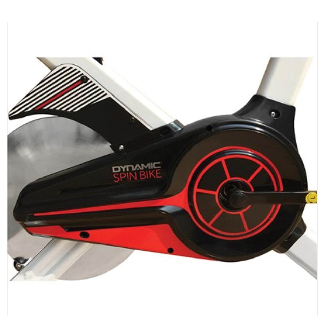 Dynamic Spin Bike