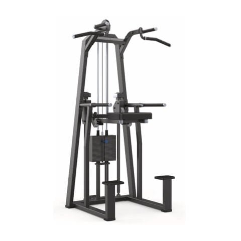 Profitness 3009T Dip/Chin Assist