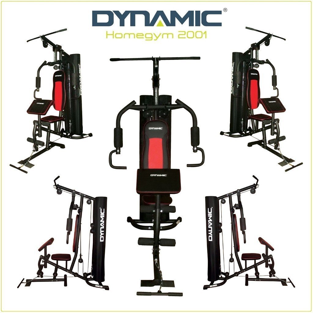Dynamic 2001 Tek Kişilik Ağırlık İstasyonu