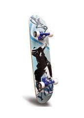 Voit 3103 Kaykay Street You