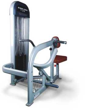 Diesel Fitness 8949F Low Row