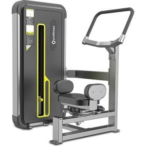 Profitness A3018 Rotary Torso