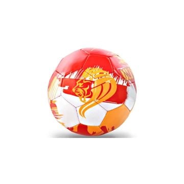 Voit G Derby Futbol Topu N5