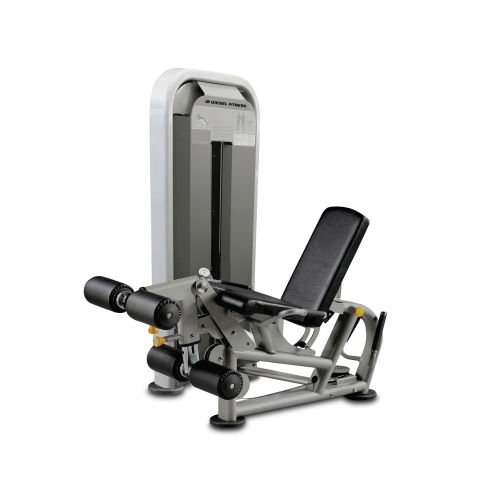 Diesel Fitness D12 Leg Curl / Leg Extension Dual Machine