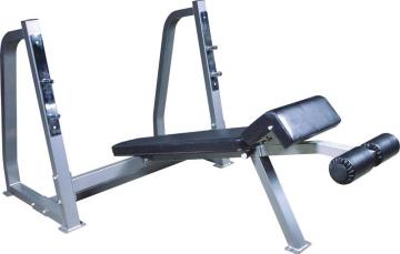 Profitness Decline Bench Press