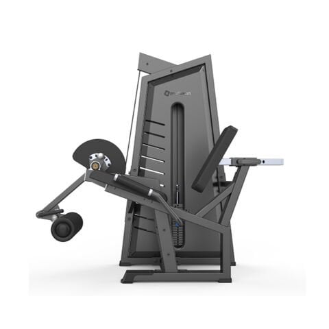 Profitness  3002 Leg Extension