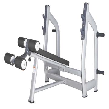 Diesel Fitness E Line Decline Bench