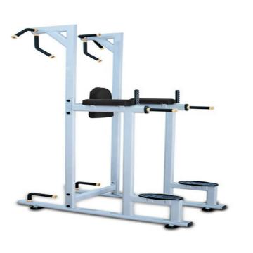Diesel Fitness U Line Vertical Knee Raise