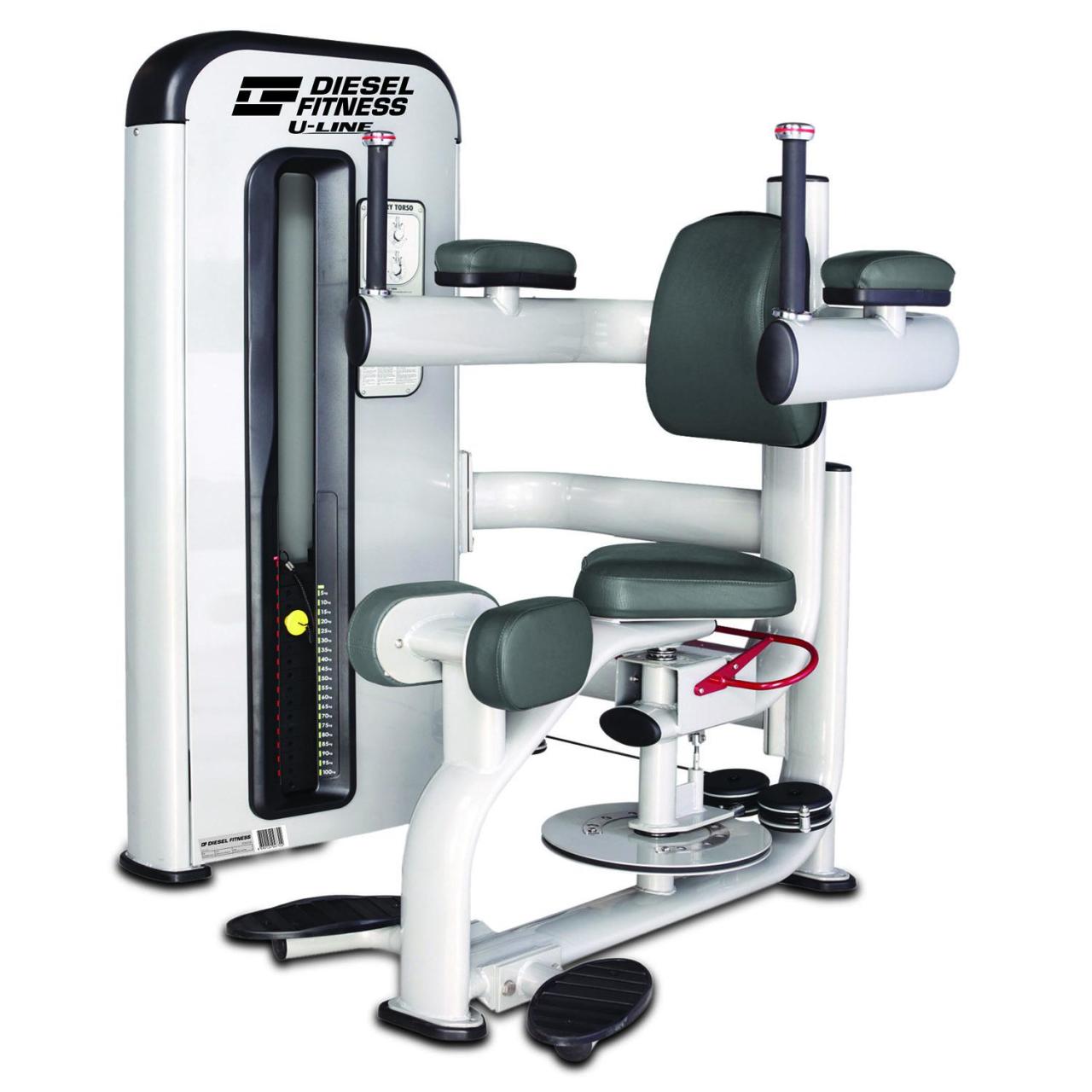 Diesel Fitness U Line Rotary Torso